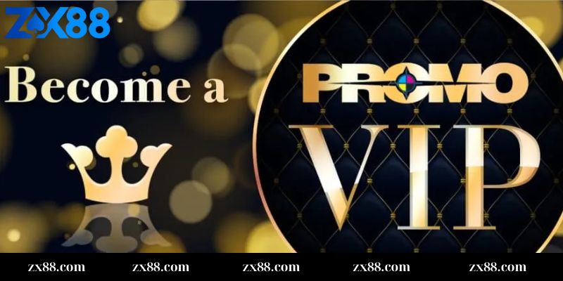 Ưu đãi dành riêng độc quyền cho thành viên VIP